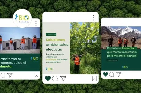 Contenido creativo para marcas